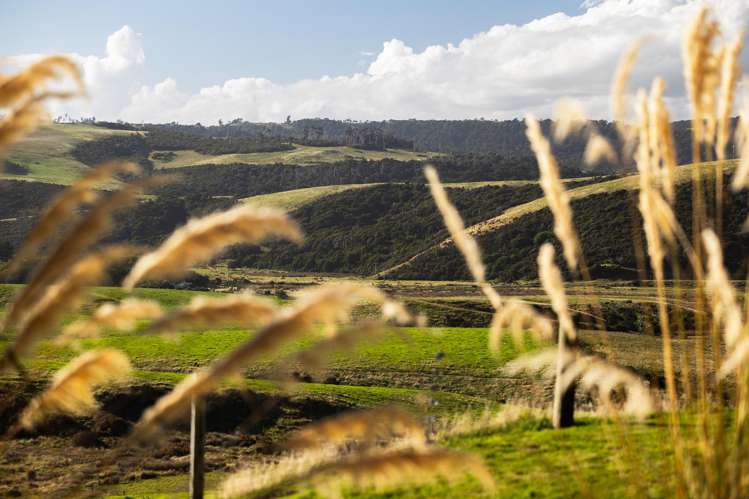 120 Mair Road Curio Bay_21