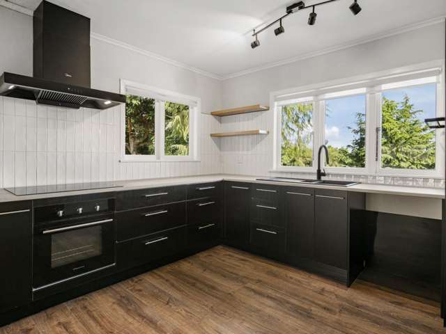 14a Paine Street Judea_1