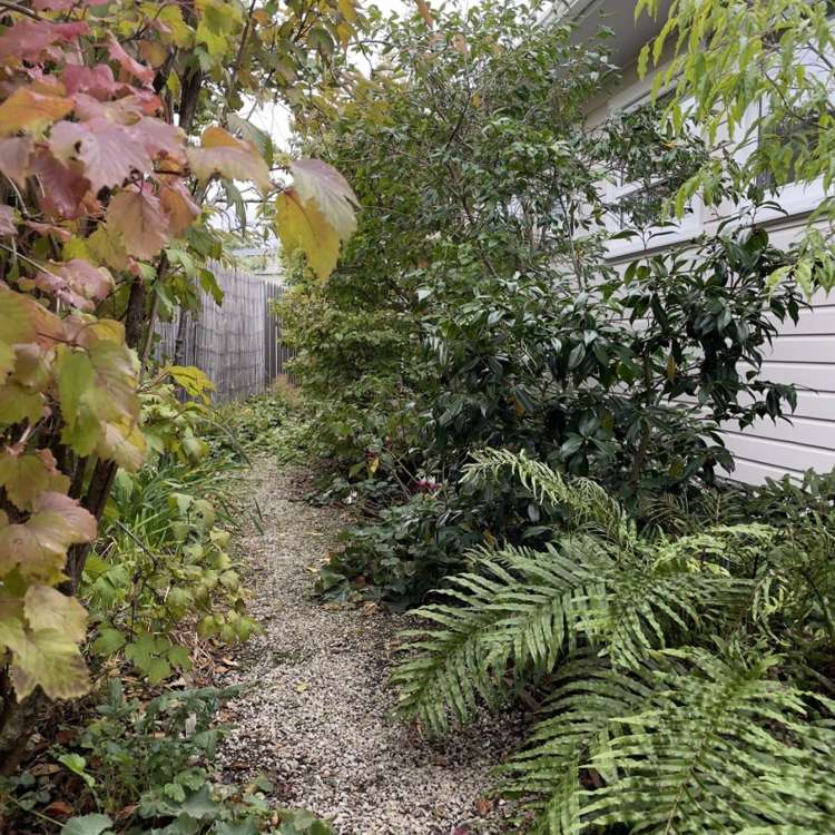 25 Churchill Avenue Richmond_32