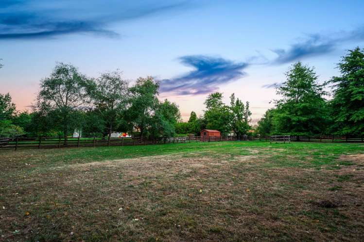 47 Postman Road Dairy Flat_27