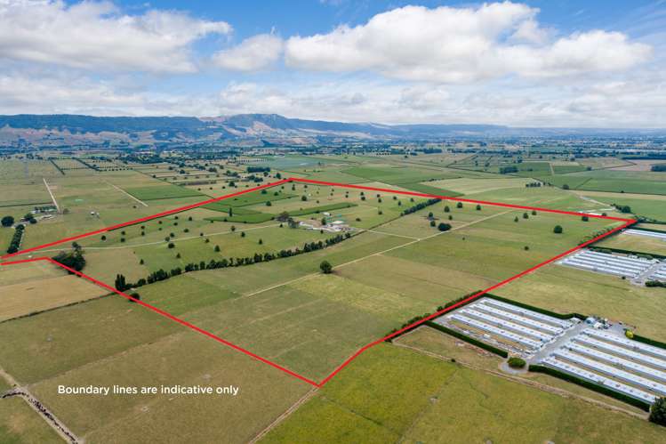 148 Troughton Road Matamata_1