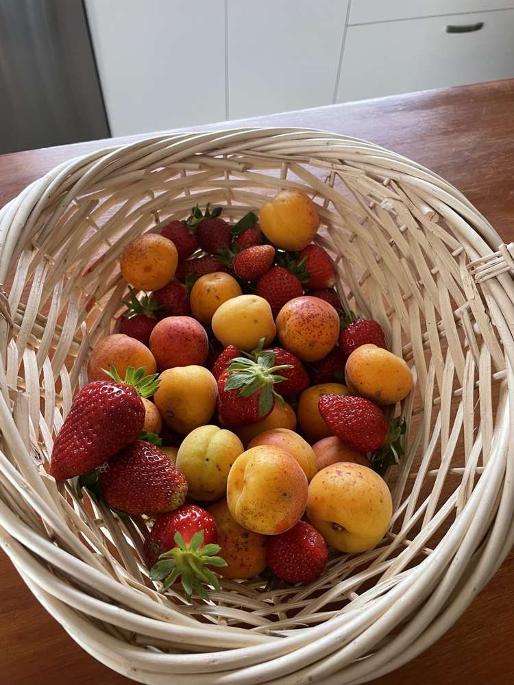 852 Oneriri Road Kaiwaka_25