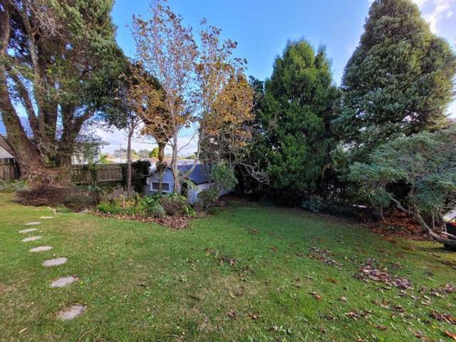 407 Carrington Street Vogeltown_2