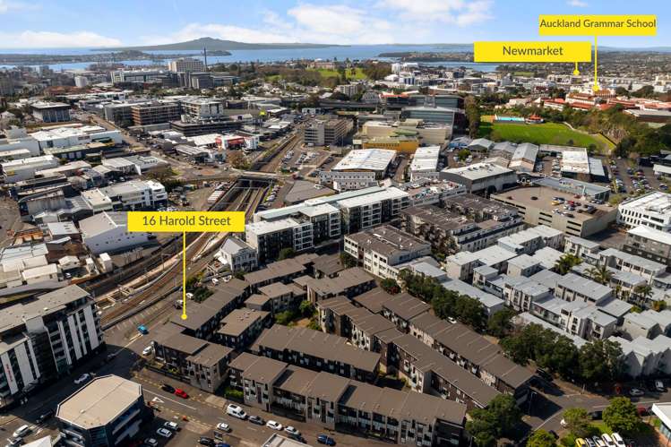 16 Harold Street Mount Eden_21