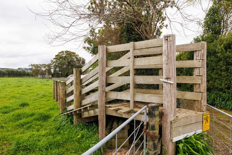 260 Haynes Line Feilding_31