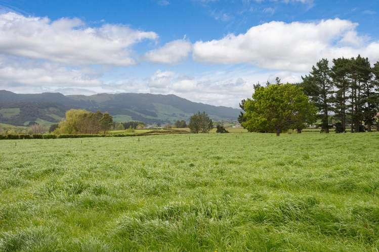 334 Okauia Springs Road Okauia_16