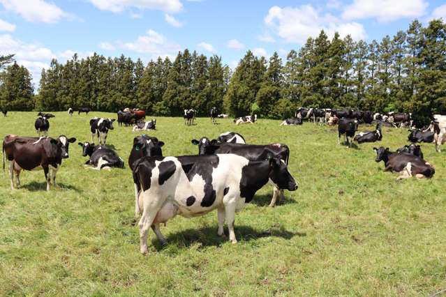 172 Radnor Road Midhirst_1