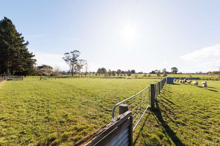 62 Nga Tawa Road Marton_19