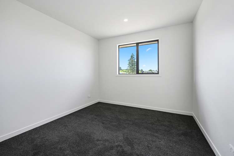 575 Collinson Street Pirongia_11