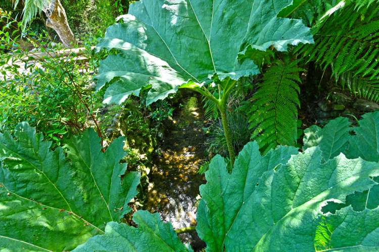 87 Horoeka Street Stokes Valley_5