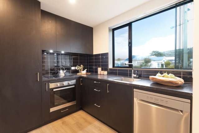 6/130 Richmond Street Petone_1