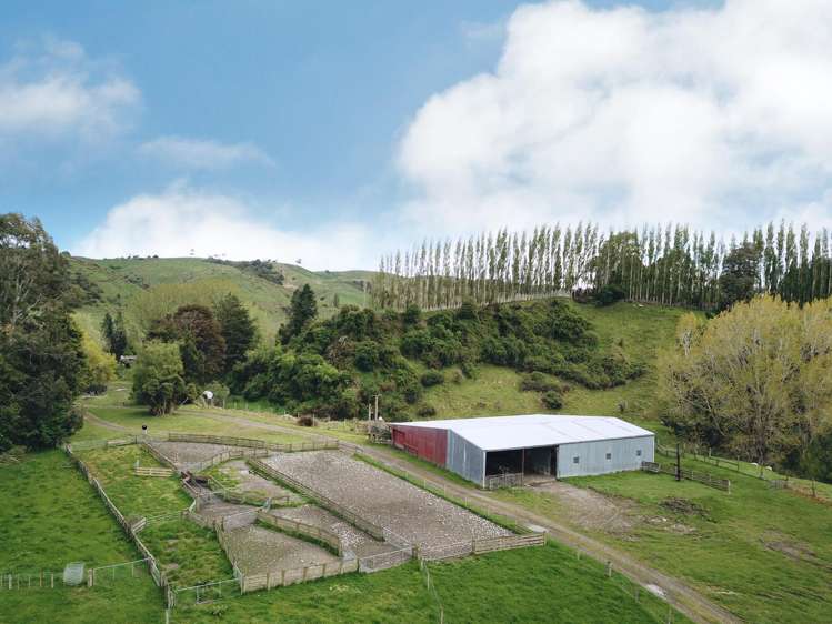 2207 Otautau Tuatapere Road Pukemaori_13