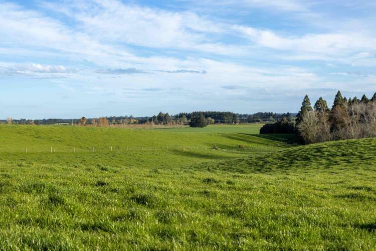 Rowallan Road Darfield_37