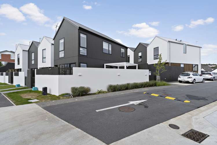 5/6 Oswald Crescent Paparangi_13