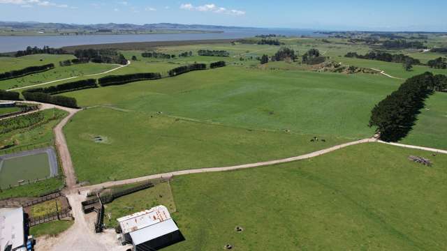 2611 Pouto Road Te Kopuru_4