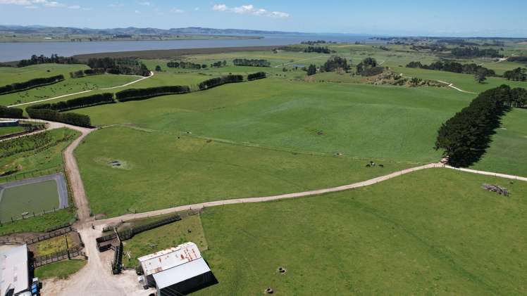 2611 Pouto Road Te Kopuru_4