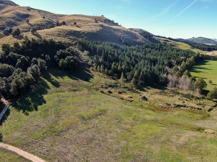 Alford Forest Settlement Road Mount Somers_2