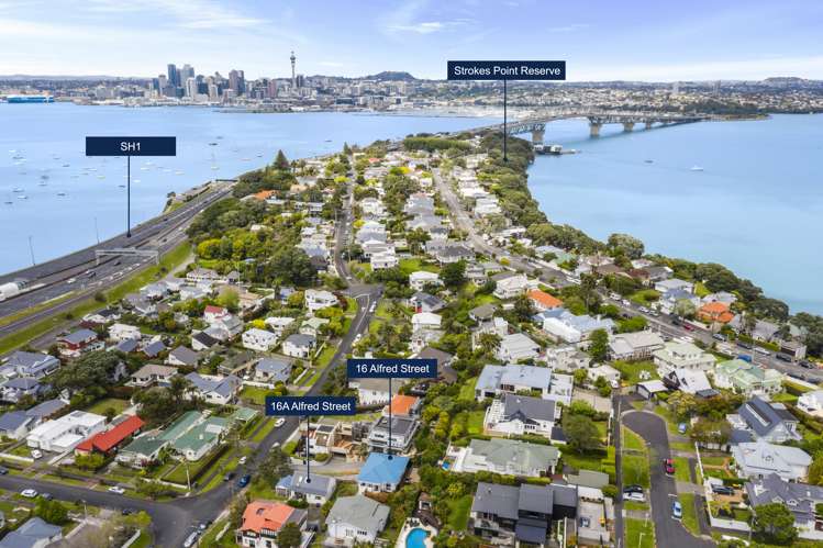 16 Alfred Street Northcote Point_2