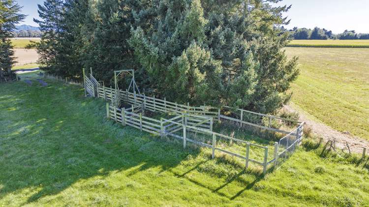 32 Warrens Road Darfield_23