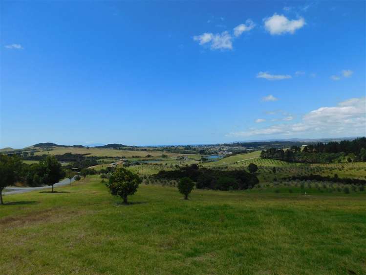 2000 Cove Road Mangawhai_5