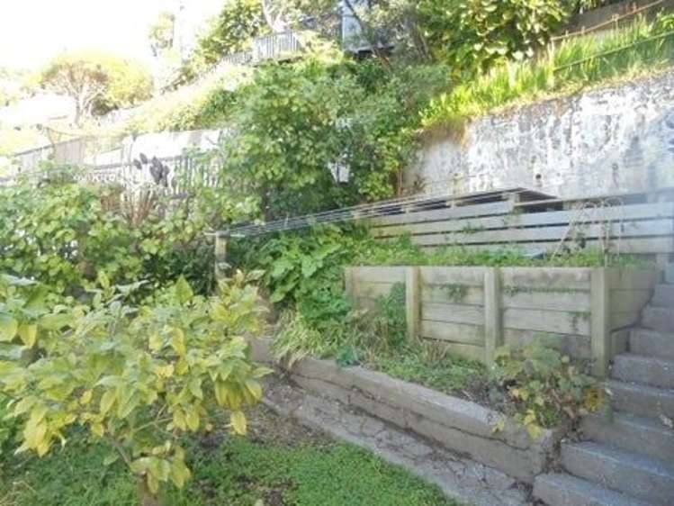 4B Oriental Terrace Oriental Bay_7