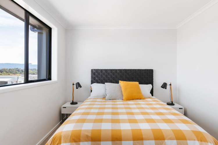 5 Te Ara Tanekaha Omokoroa_15