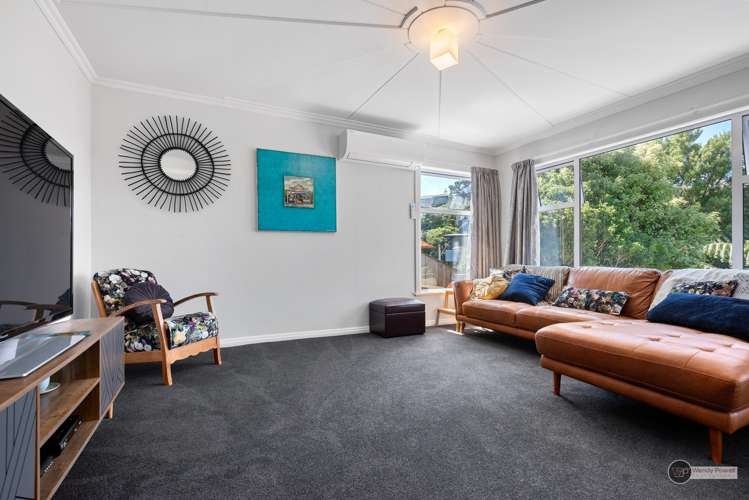 51 Poto Road Normandale_1