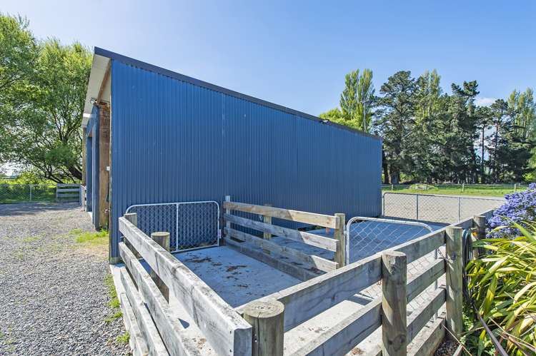 111 Chamberlains Road Springston_24