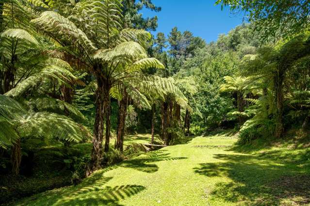 20 Lincoln Street Picton_1