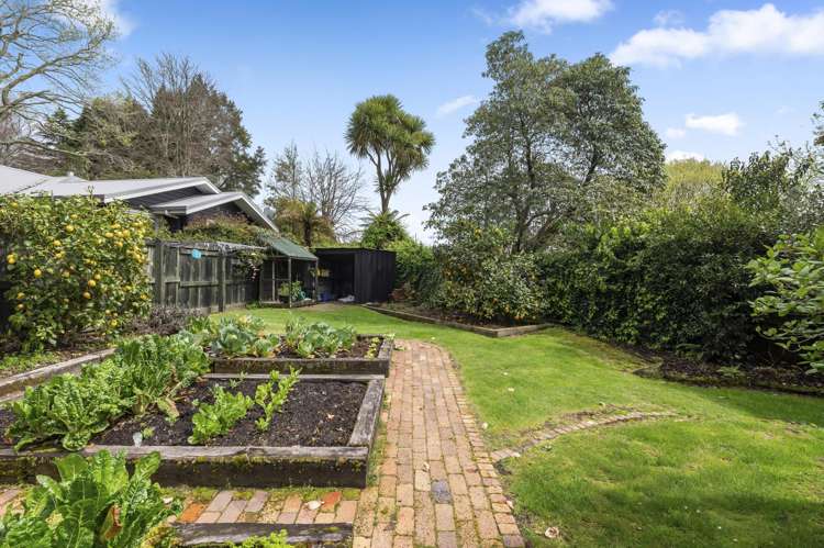 9 Moncur Drive Springfield_28