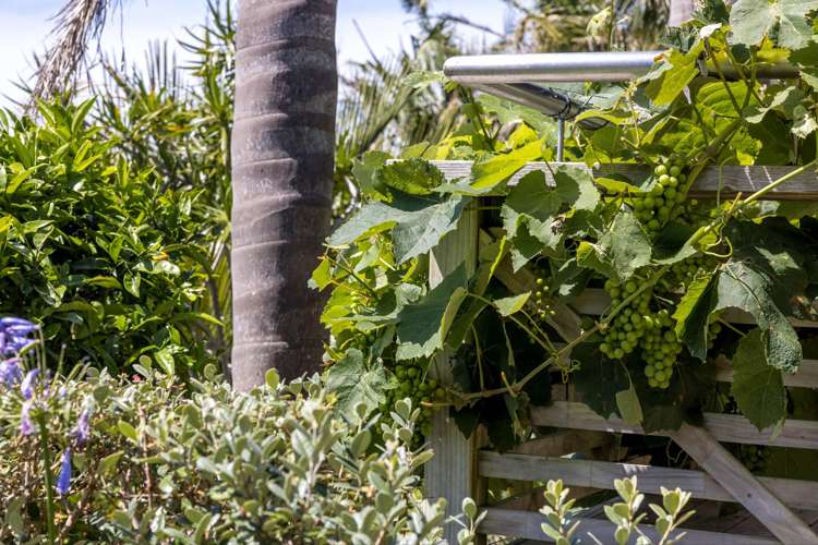 67 Kennedy Point Road Surfdale_26