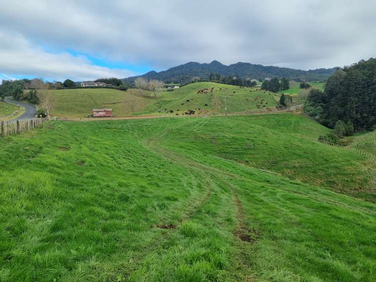 474 O'Shea Road Pirongia_2