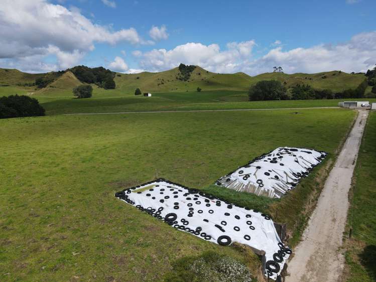 734 - 740 Bird Road Stratford_7