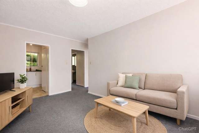 2/29 Hamilton Road Hataitai_1