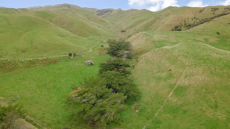 420 Mangaoranga Road Eketahuna_6