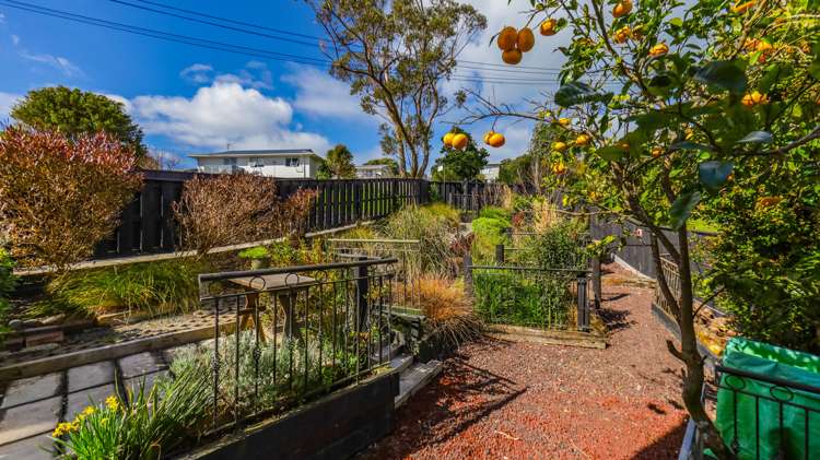 11 Walbrook Road Manly_17