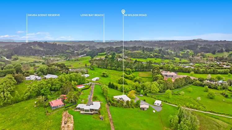 58 Wilson Road Dairy Flat_29