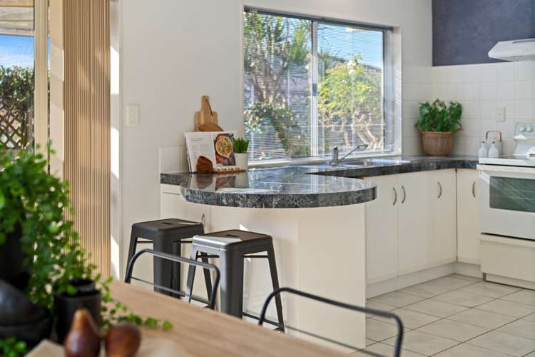 9 Verbena Glen Mount Maunganui_5