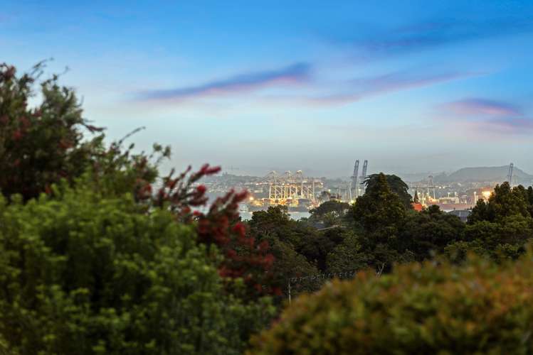 9 Havenwood Place Birkenhead_1