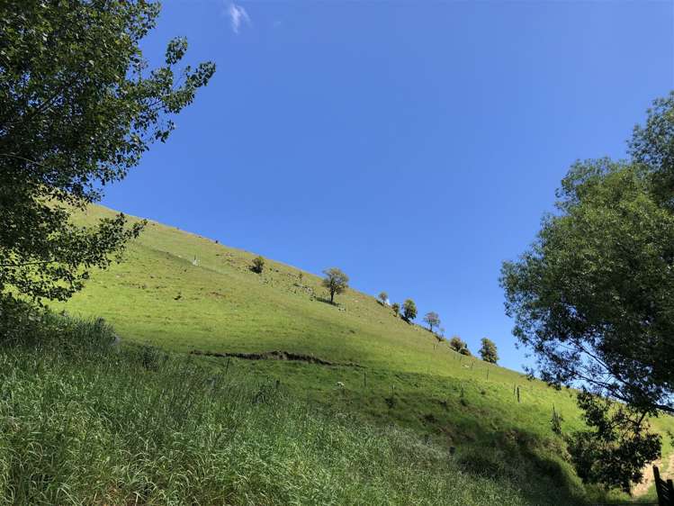 4990 Christchurch Akaroa Road Little River_23