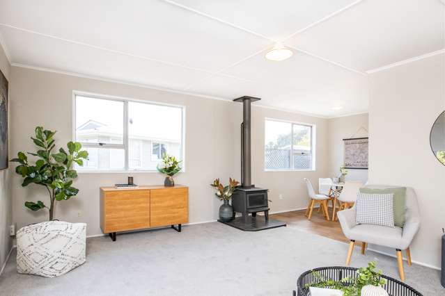 27a Millard Avenue Masterton_2