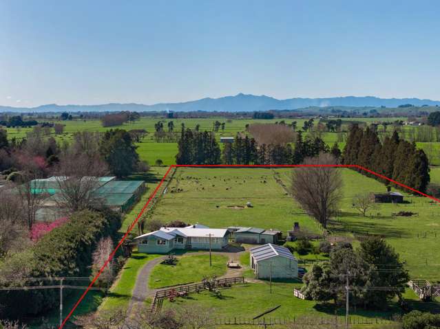 386 Marshmeadow Road Newstead_3