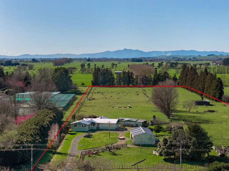 386 Marshmeadow Road Newstead_3