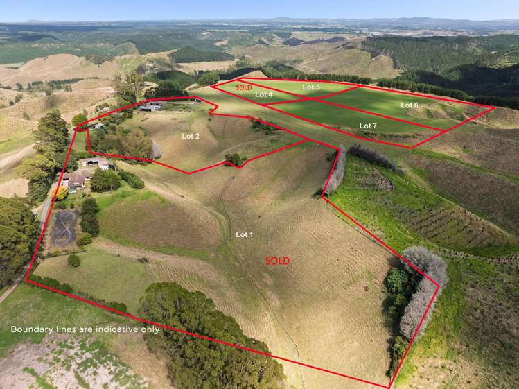 Lot Lot 1-7/166 Airstrip Road_0
