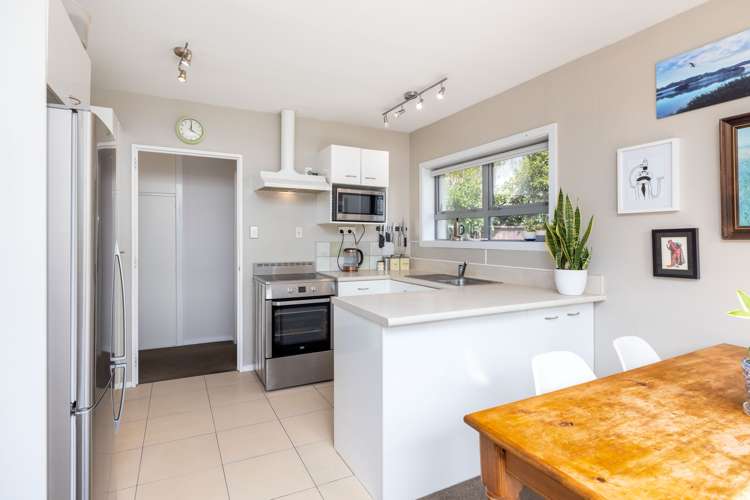 24b Grange Street Hillsborough_9