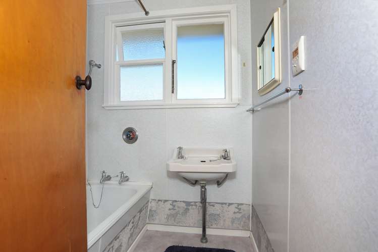 11 Ward Street Bulls_8