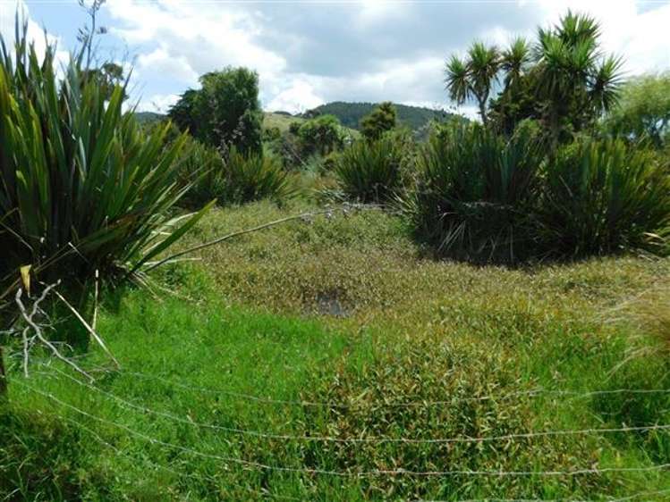 383 Brown Road Kaiwaka_20