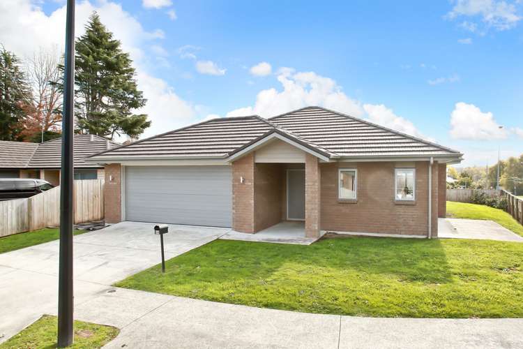 59 Tupelo Street Pukete_17