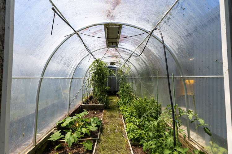 28 Hokitika-Kaniere Tramway Kaniere_19