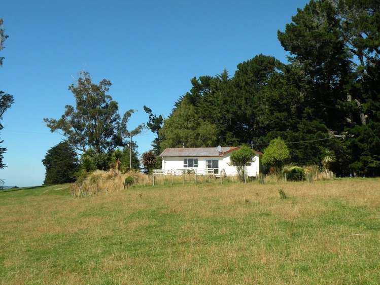 44 Fletts Road Milton_8